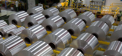 Shandong Hongxin International Trade Co., LTD. linea di produzione in fabbrica