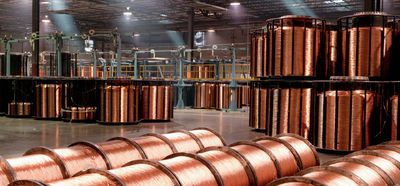 Shandong Hongxin International Trade Co., LTD. linea di produzione in fabbrica