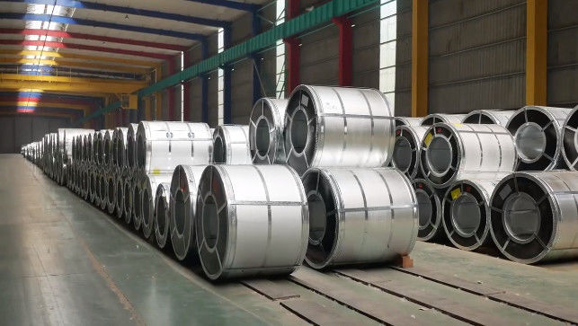 Porcellana Shandong Hongxin International Trade Co., LTD. 