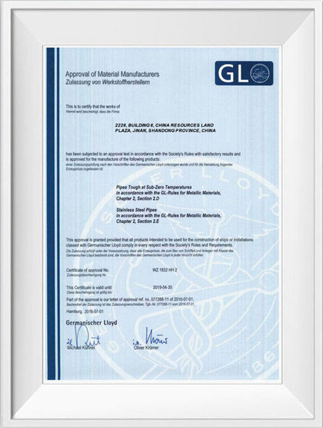 Porcellana Shandong Hongxin International Trade Co., LTD. Certificazioni
